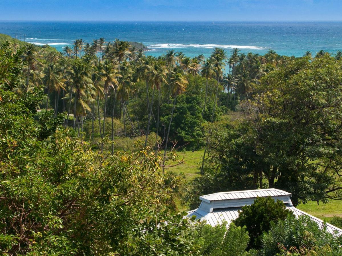 Firefly Estate Bequia Hotel Crescent Beach Exterior photo