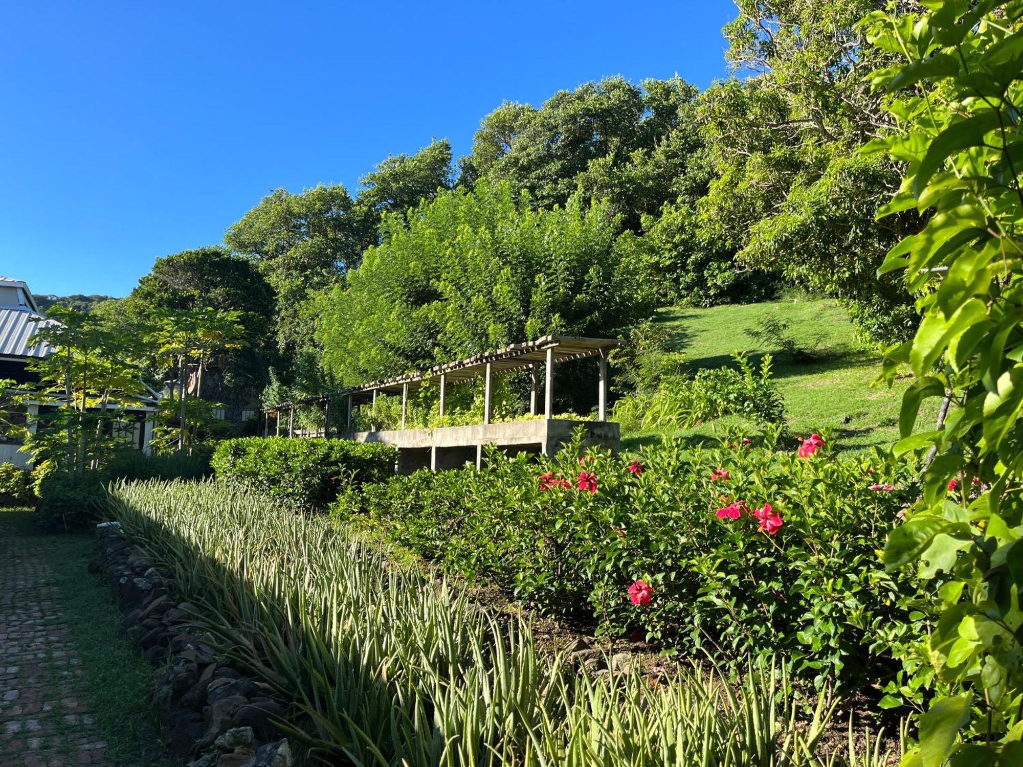 Firefly Estate Bequia Hotel Crescent Beach Exterior photo
