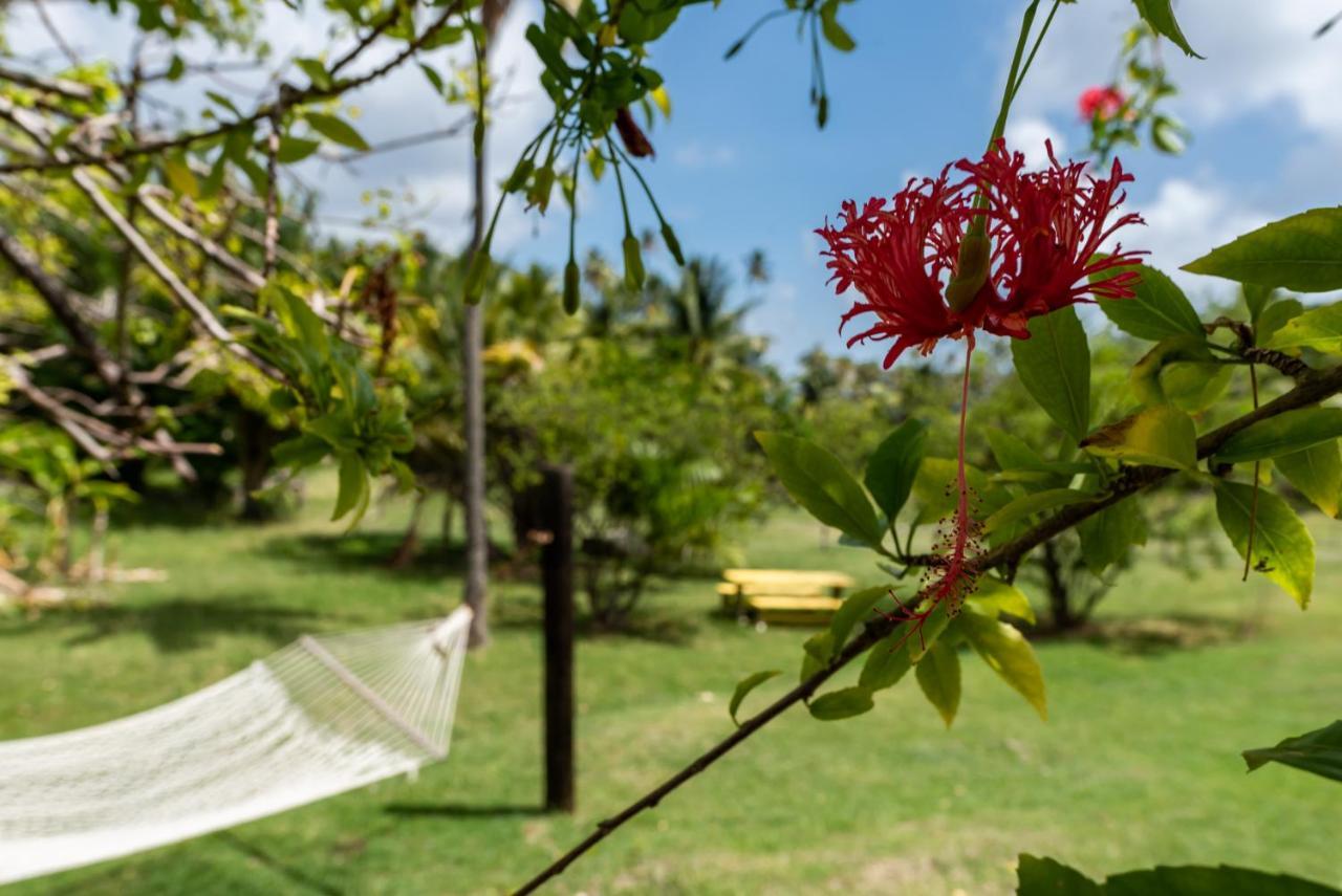 Firefly Estate Bequia Hotel Crescent Beach Exterior photo